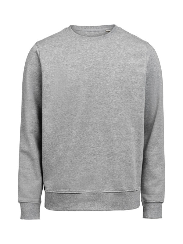 CREWNECK REGULAR FIT (OCS-RCS)